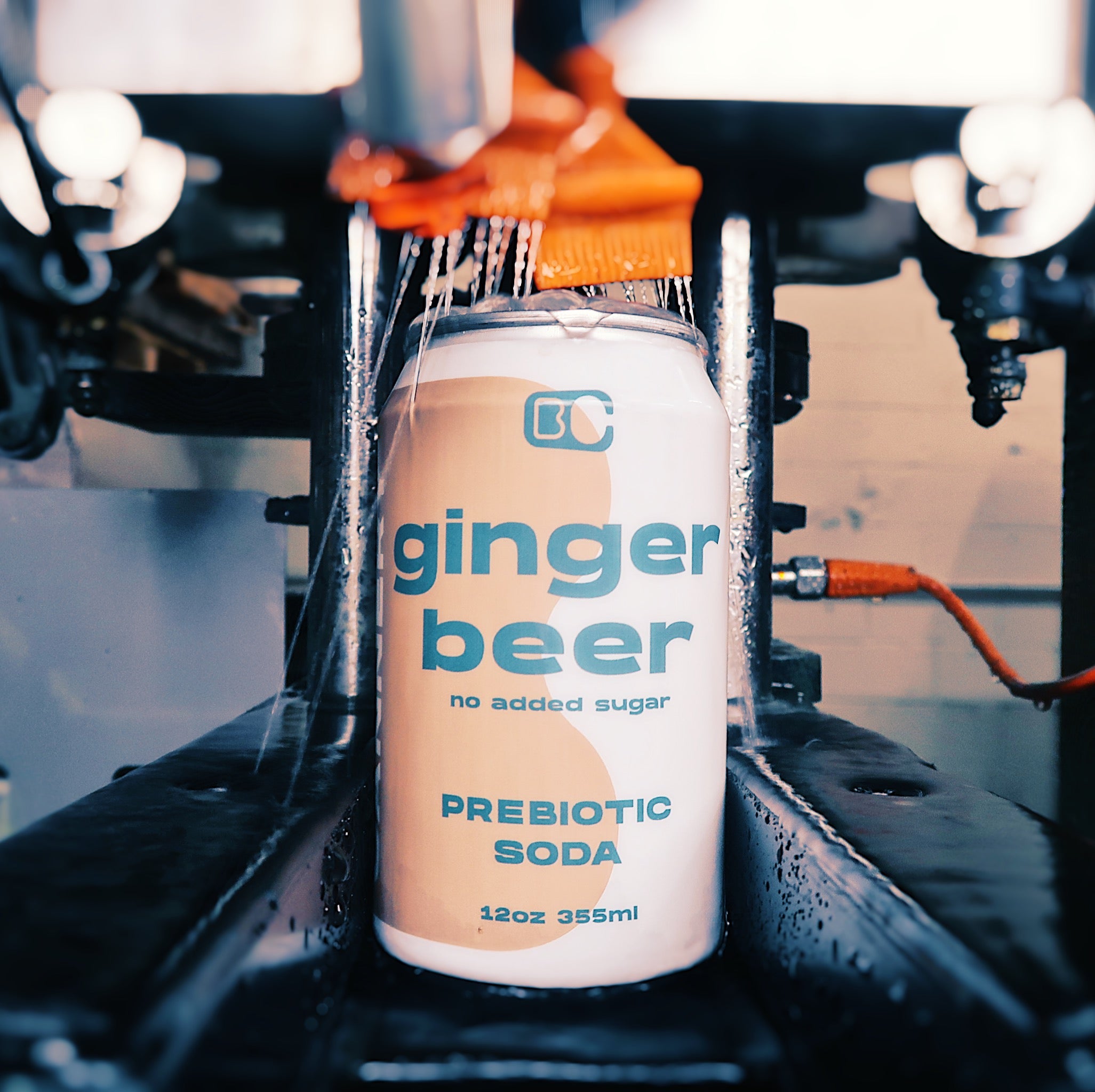 Ginger Beer - 12 Pack